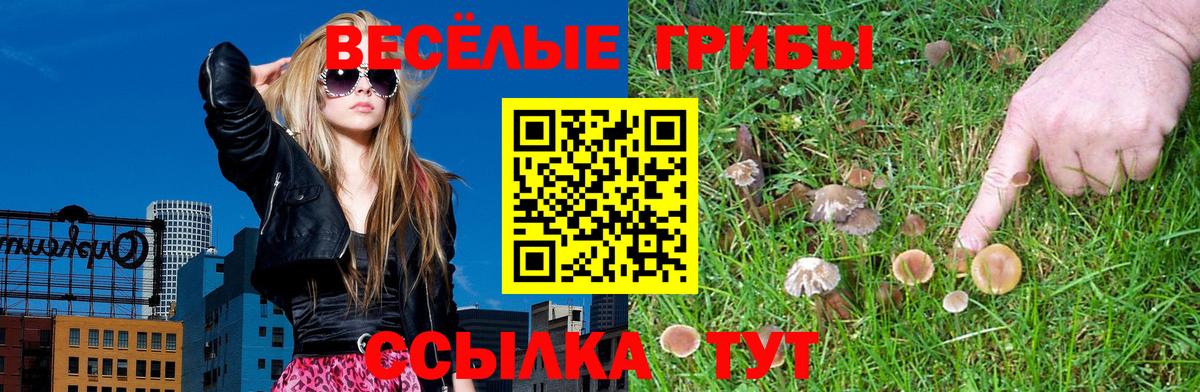 Псилоцибиновые грибы мицелий Кимовск